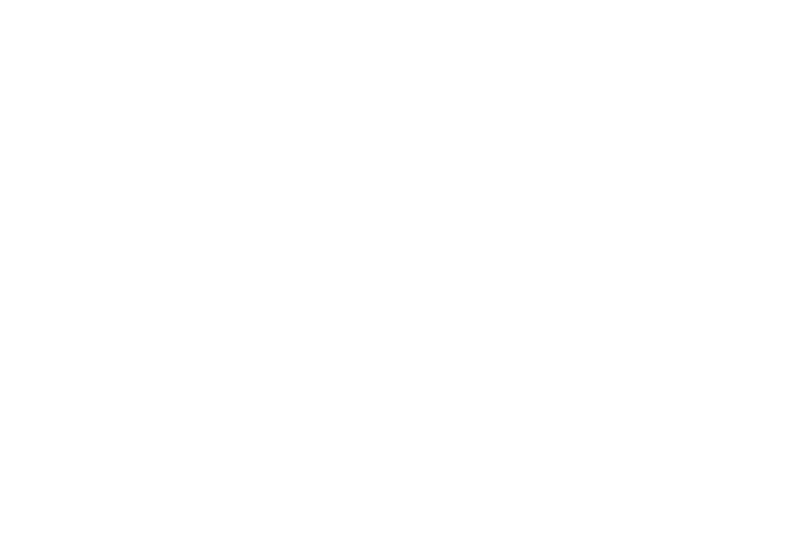 Neboer